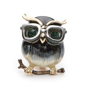 Owl Brooch Pin jewelry